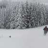 20140216_498